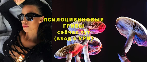 скорость Каменногорск