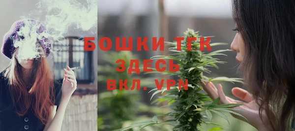 скорость Каменногорск