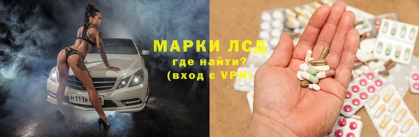 скорость Каменногорск