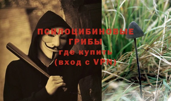 скорость Каменногорск